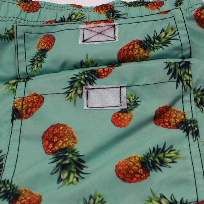 Coast Ranger Swimming Trunks